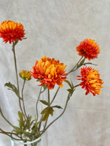 Orange Pom-Pon Mum Spray