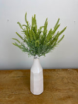 Sage Astilbe Bundle