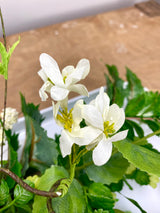 20" Wild Garden Swag