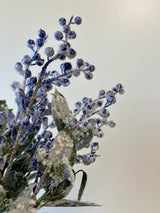 Lightly Snowed Berry Bush