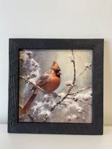 Winter Cardinal Framed Art