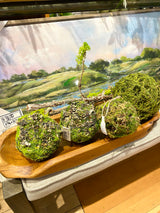 4" Mossy Orb