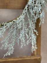 24" Christmas Concert Iced Wreath