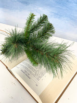 Tall Himalayan Pine Spray