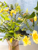 24" Bee Sweet Drop-In
