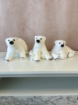 Polar Bear Cubs