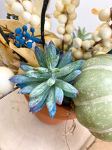 12" Lil Pumpkin pot