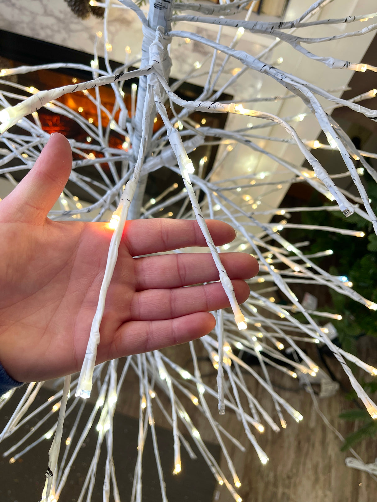 5.5' Birch Lighted Twinkle Tree