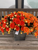 21" Fall In The Country Mum Porch Pot