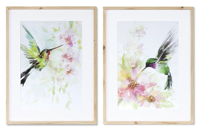 Hummingbird Watercolor Art - 2 Styles