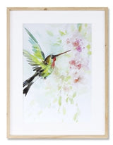 Hummingbird Watercolor Art - 2 Styles