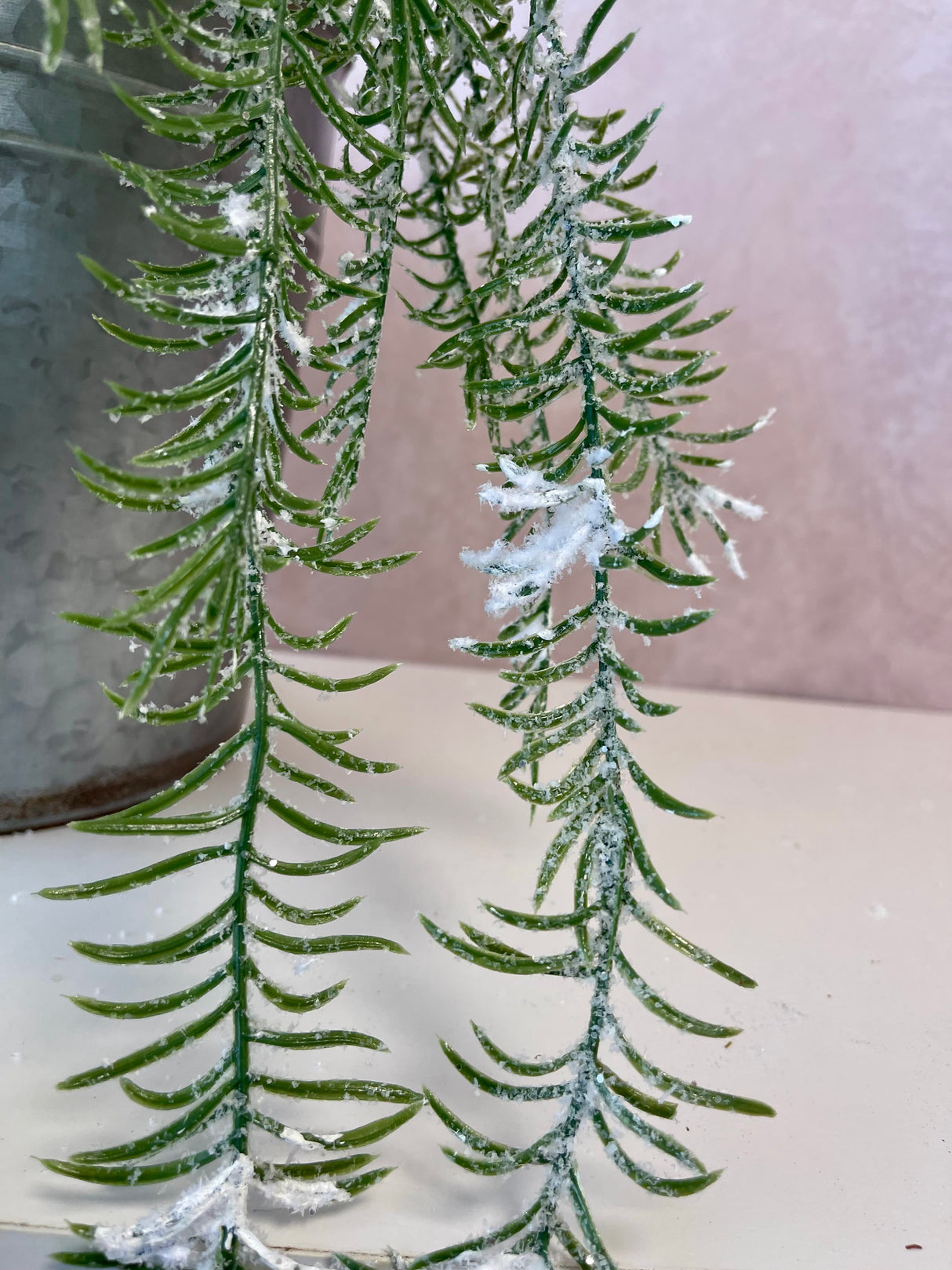 Snowed Sitka Spruce Pine Spray