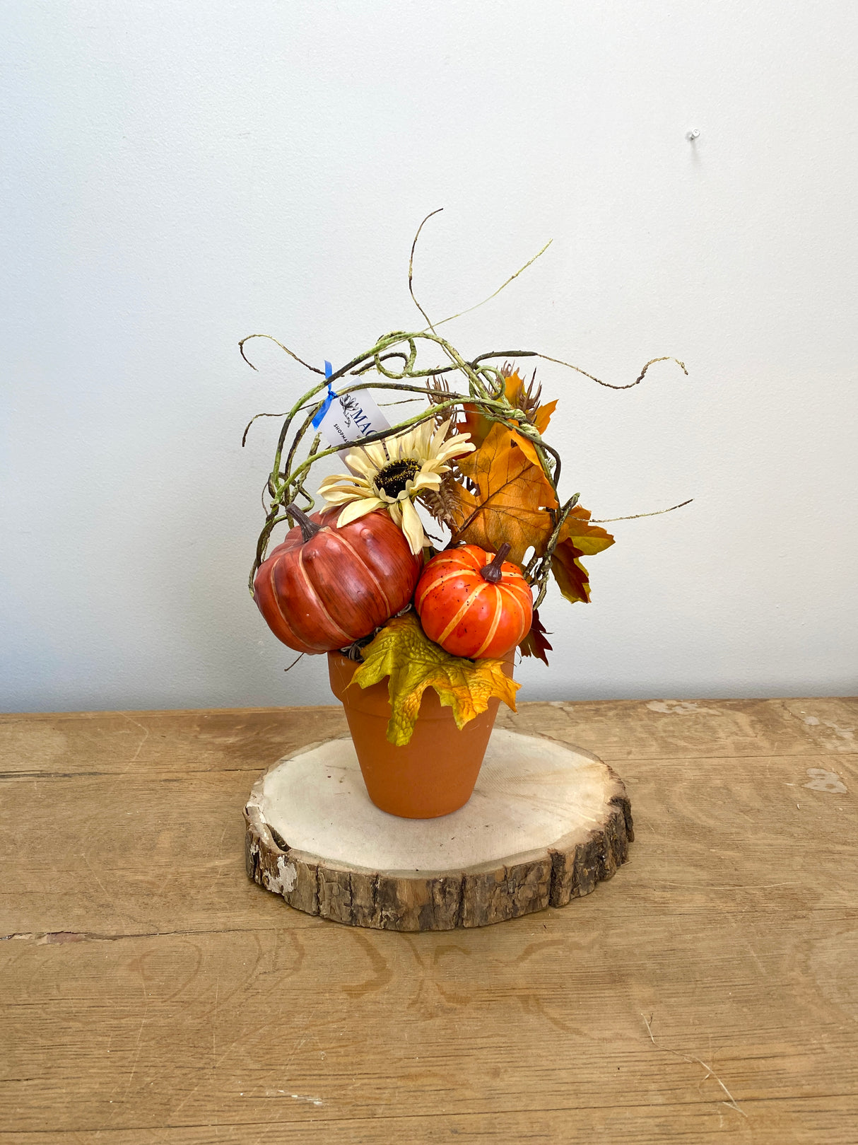 12" Happy Pumpkin Pot