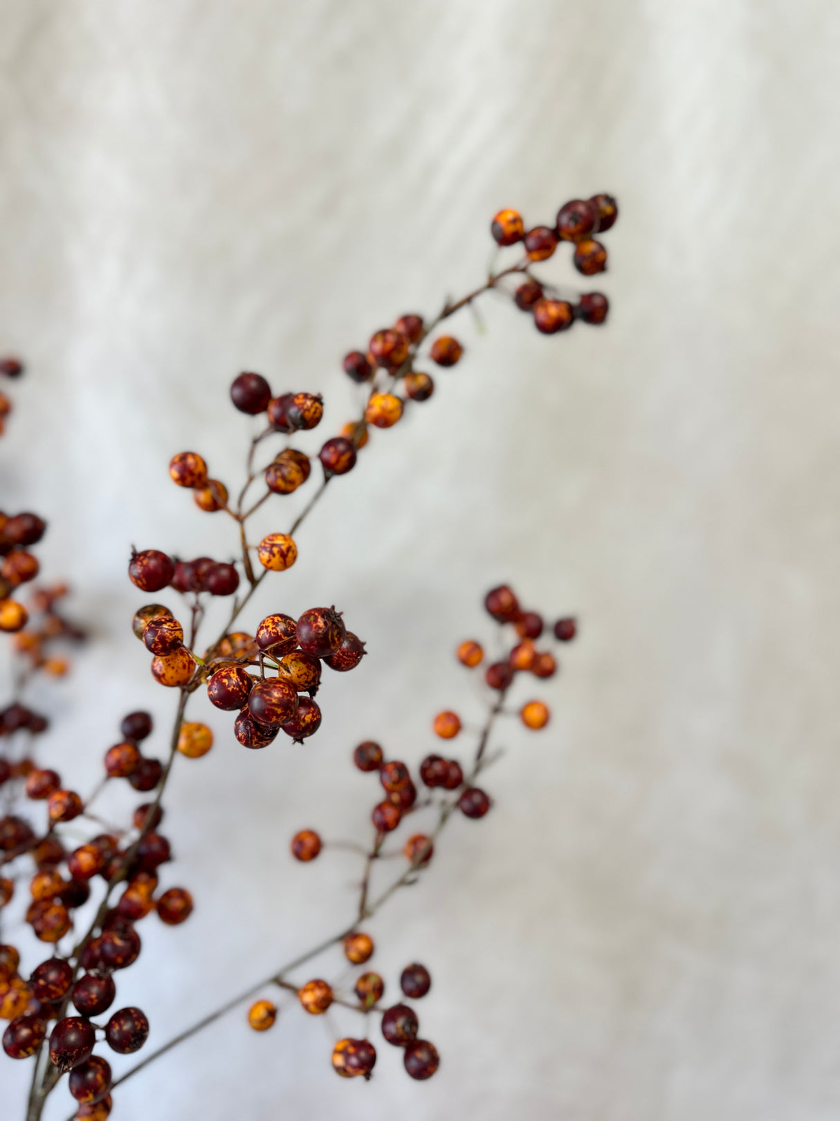 Burgundy Rosehip Berry Spray
