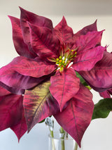 Burgundy Poinsettia Spray