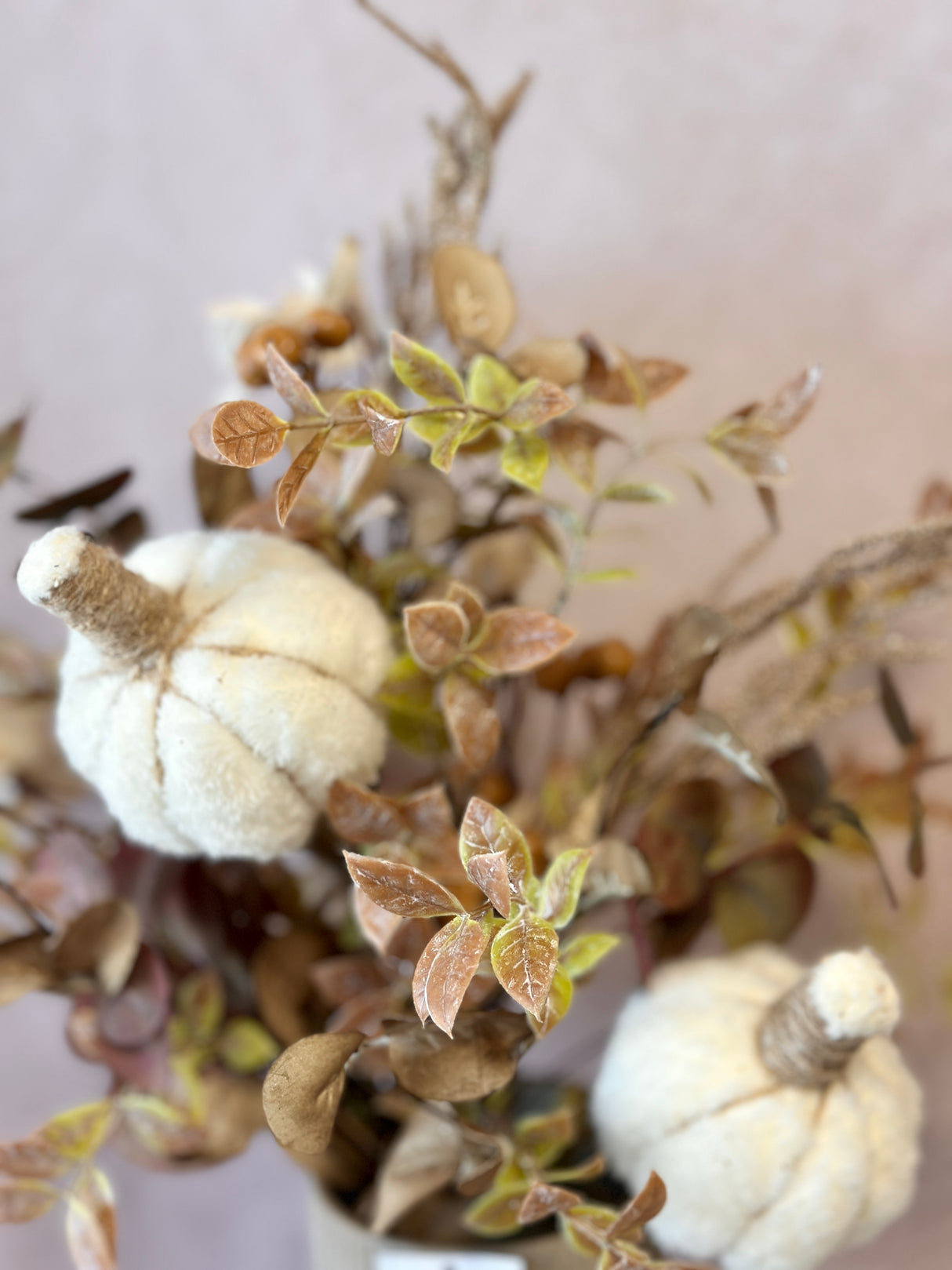 Soft Autumn Pumpkin Mixed Bundle