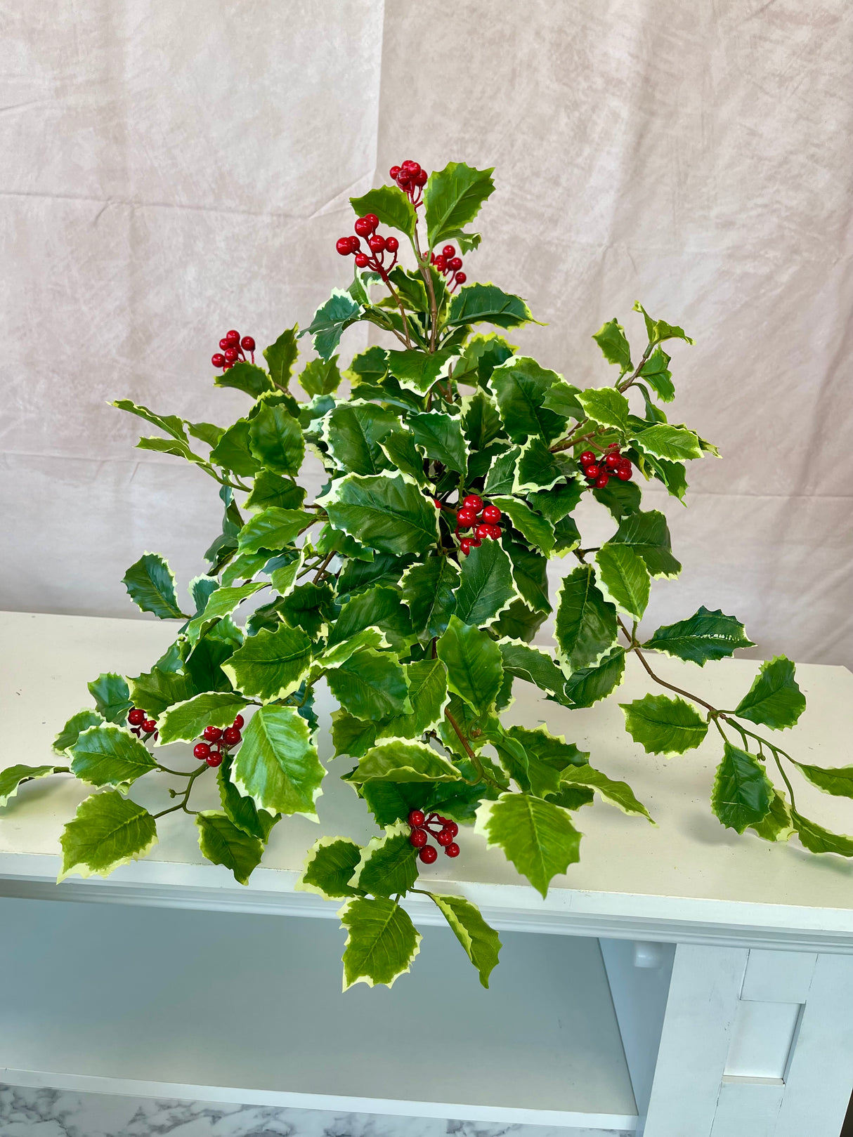 Holly Berry Bush