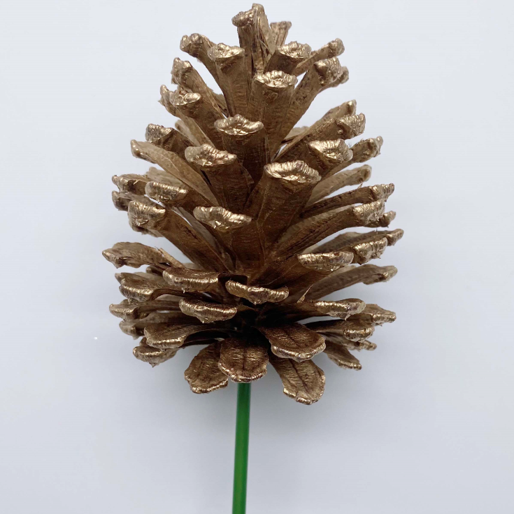 Golden Pinecone Stem
