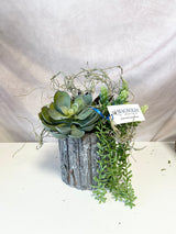 11" Bend & Snap Centerpiece