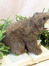 Sitting Brown Bear