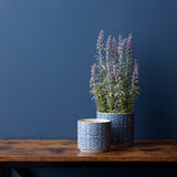 Blue Ceramic Planter - 2 Sizes