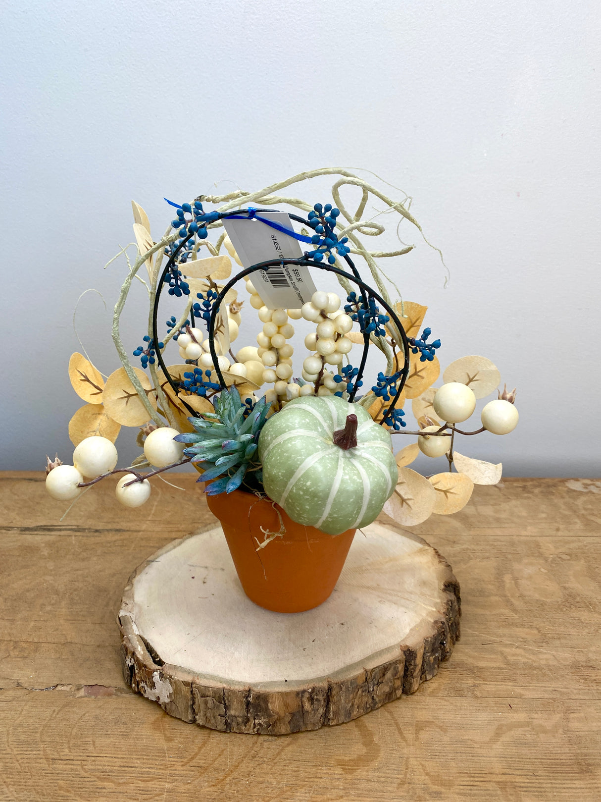 12" Lil Pumpkin pot