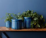 Blue Terra Cotta Planter -3 Sizes