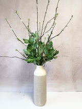 36" Willow Beauty Drop-In