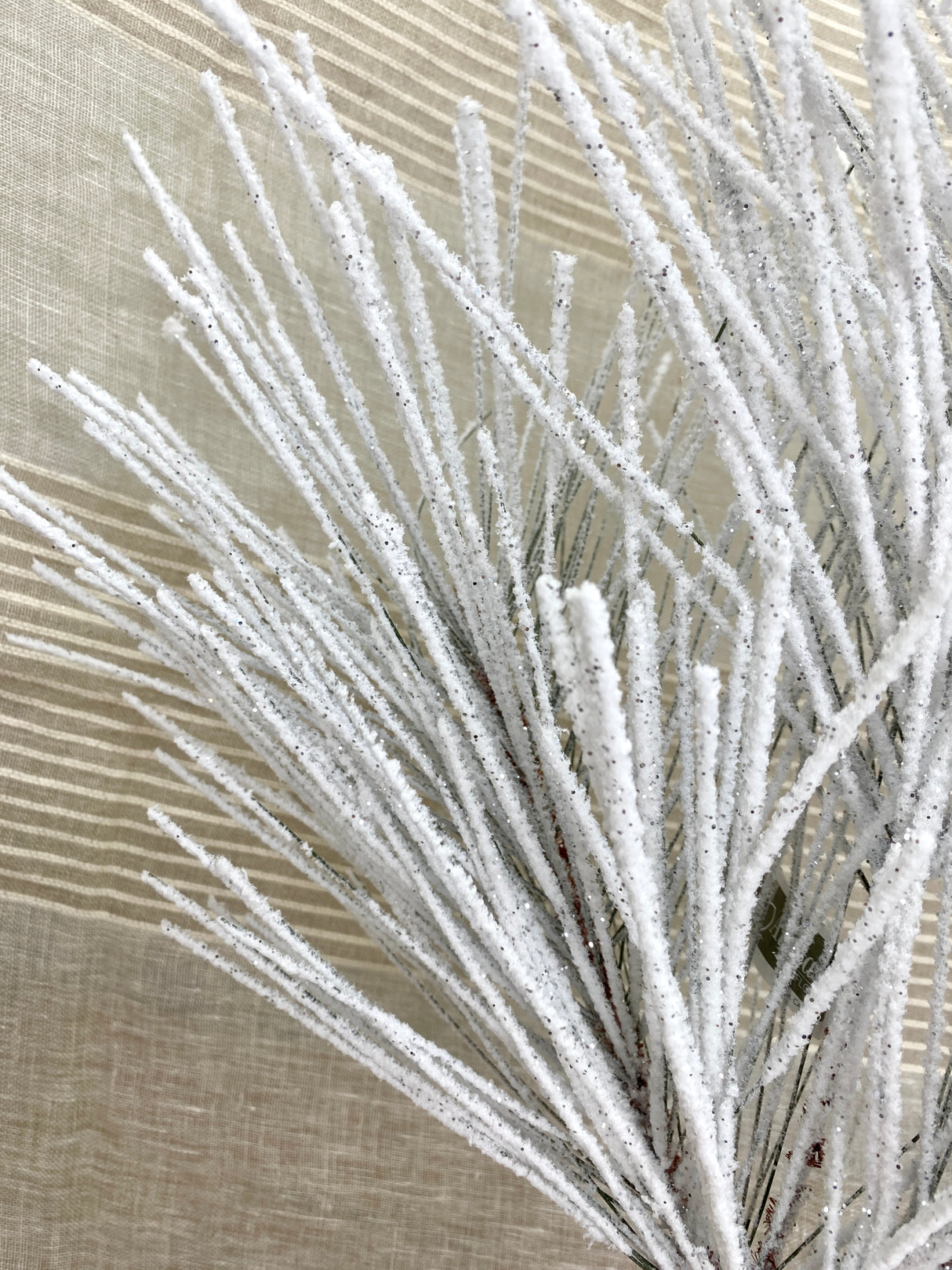 Powerdered Snow Long Needle Pine Spray