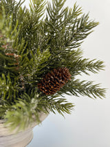 Frosted Spruce Half Sphere