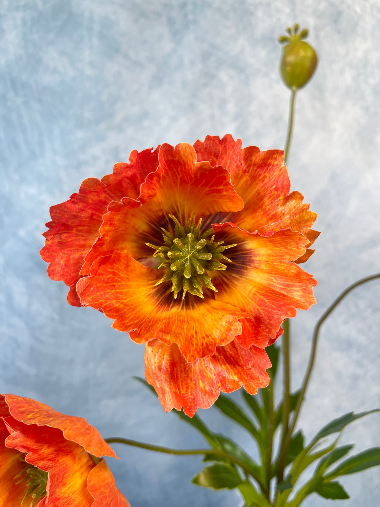 Orange Poppy Multi Spray