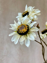 Cream In Bloom Sunflower Spray