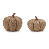 Autumn Pumpkin - 2 Sizes