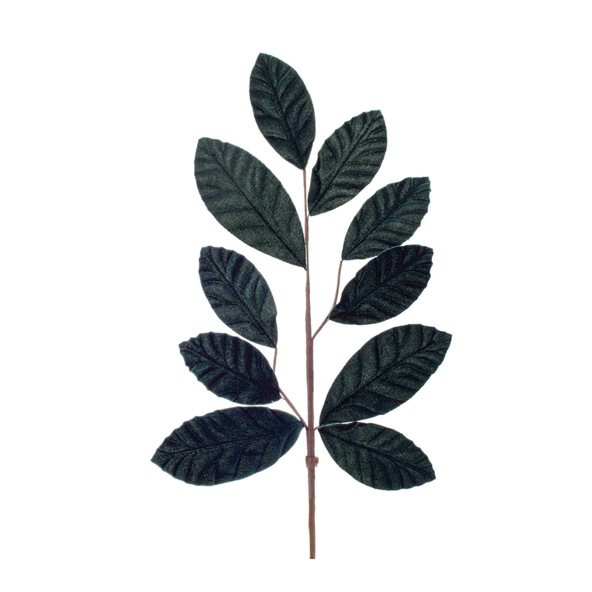 Modern Tree Leaf Spray