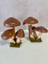 Rimini Mushroom Assortment