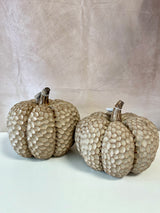 Autumn Pumpkin - 2 Sizes