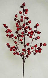 Nostalgia Berry Spray