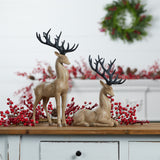 Santa Reindeer -2 Styles