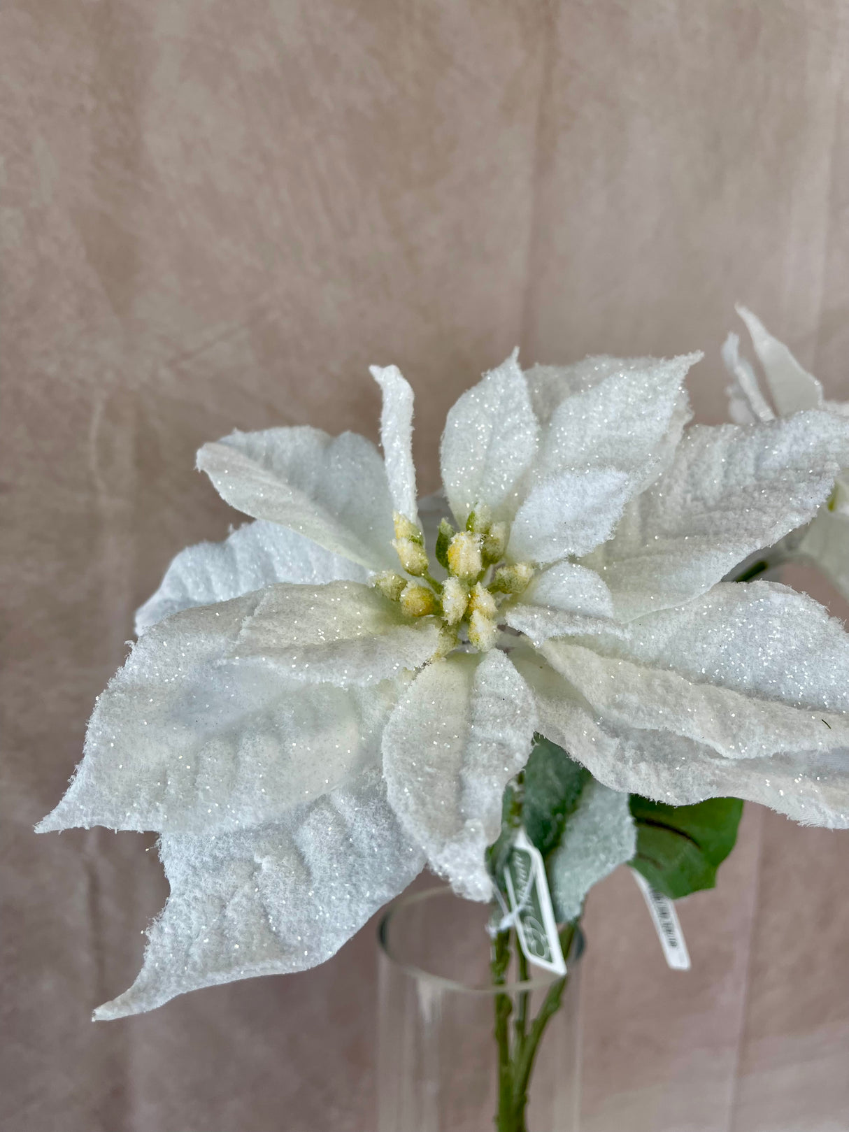 Snowed White Poinsettia Spray