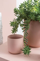 Pink Kendall Planter