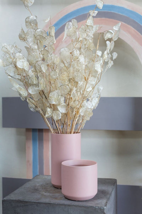 Pink Kendall Vase