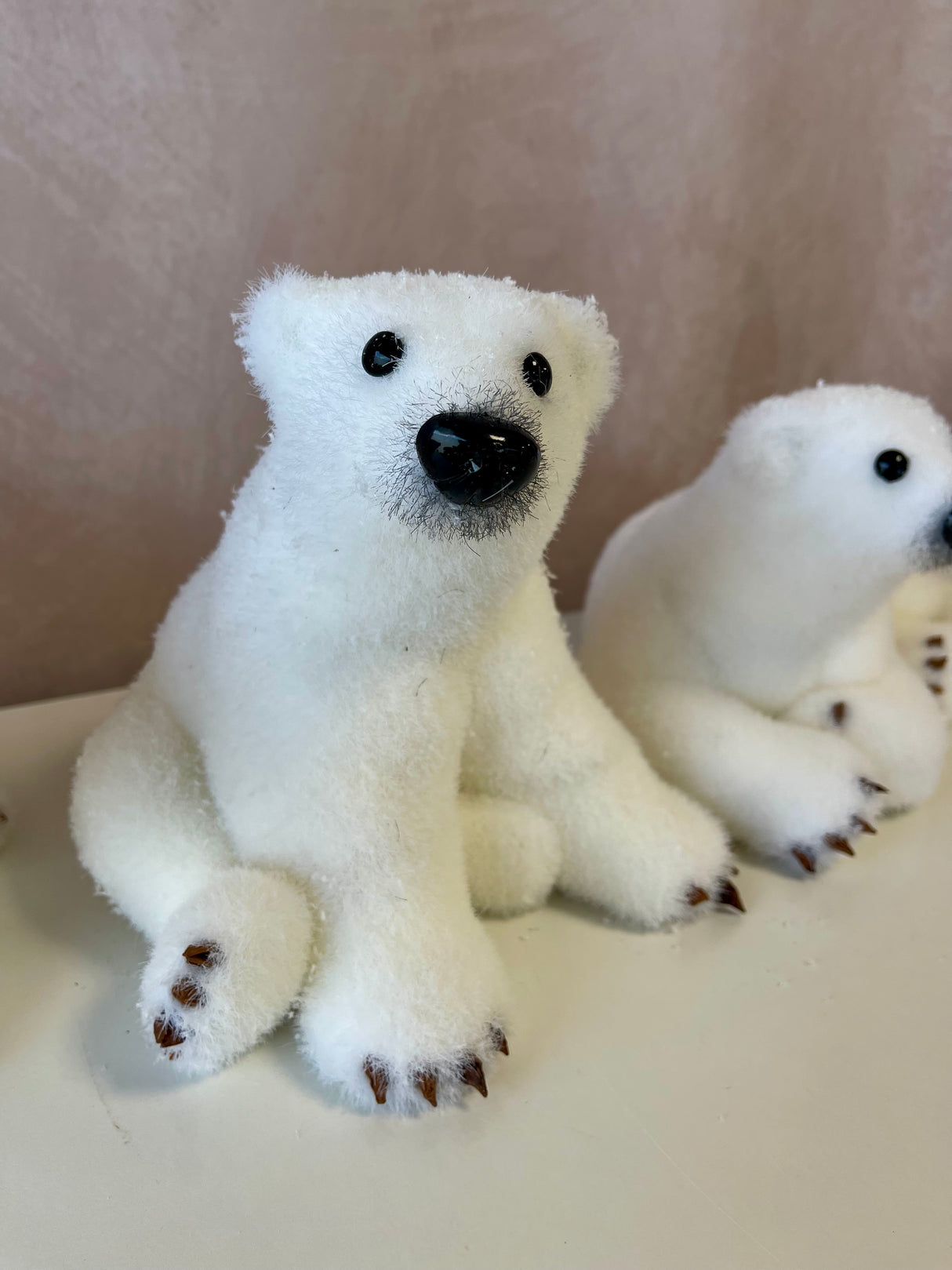 Polar Bear Cubs