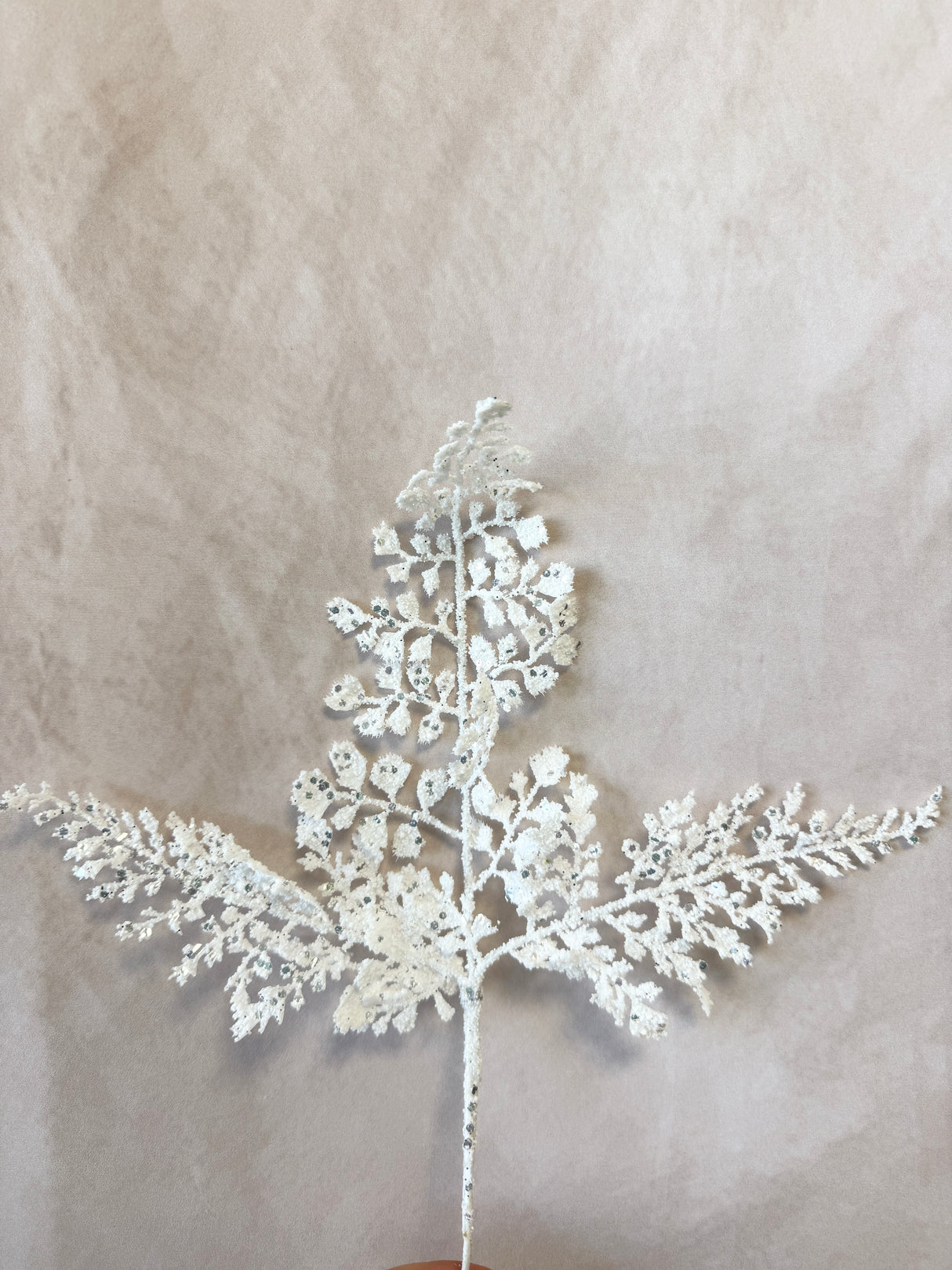 Deck The Halls Fern Pick