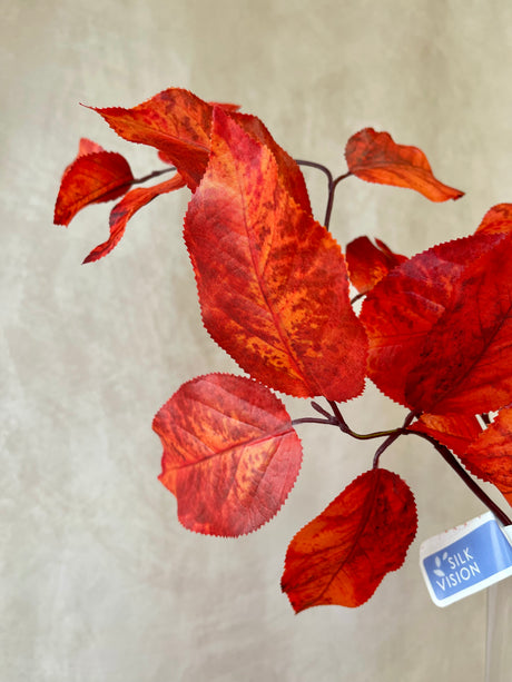 Flame Salal Leaf Spray