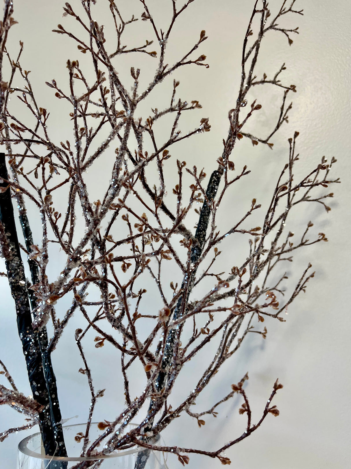 Iced Twig Branch