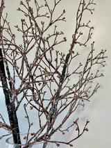 Iced Twig Branch