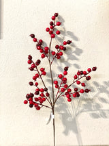 Nostalgia Berry Spray