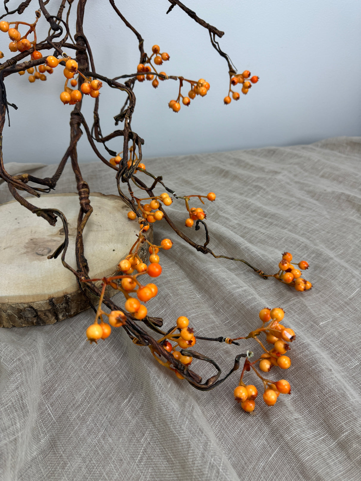 Bendy Bittersweet Branch