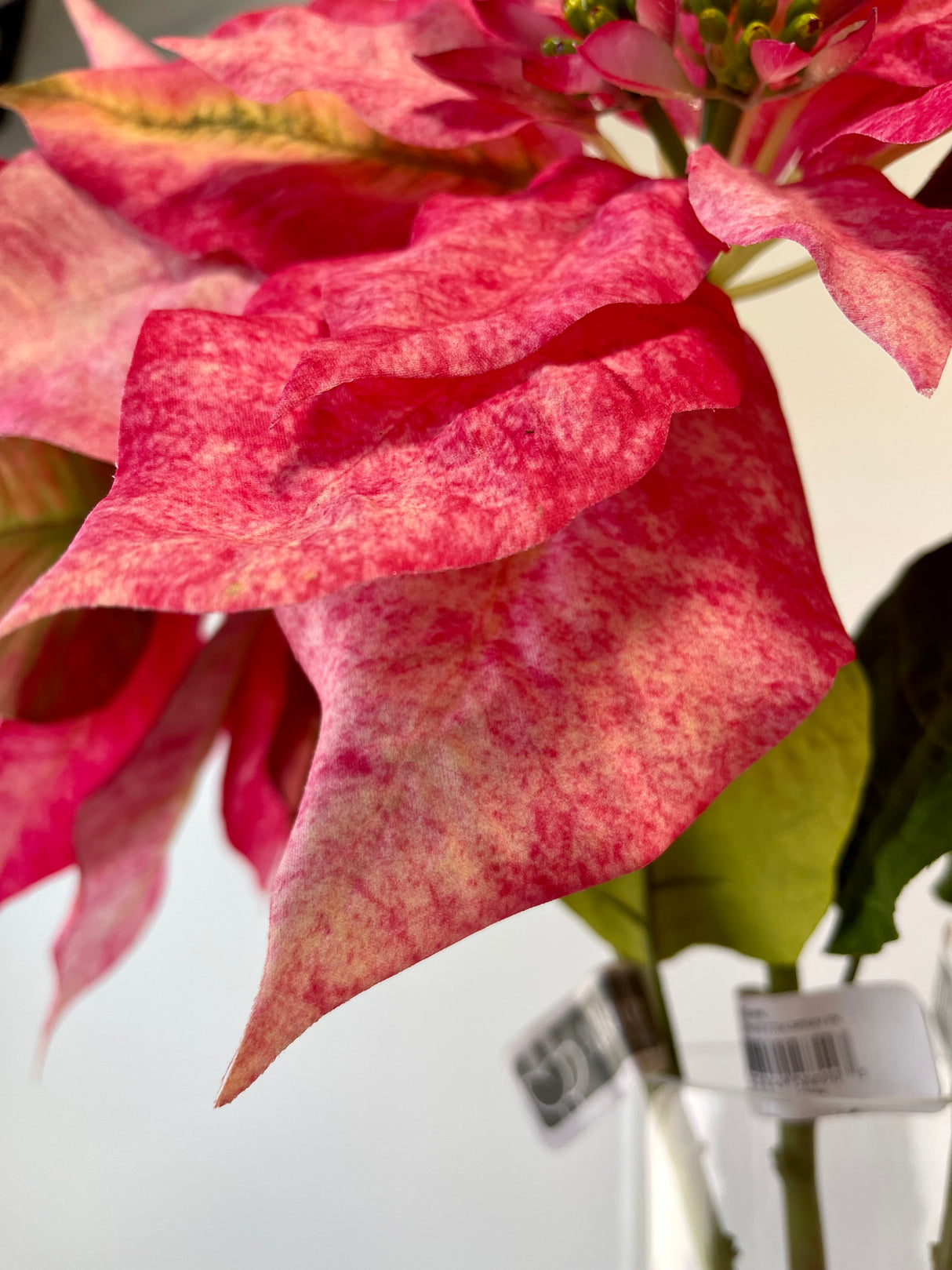 Prettiy In Pink Poinsettia Spray