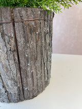 Grey Bark Containers -3 Sizes